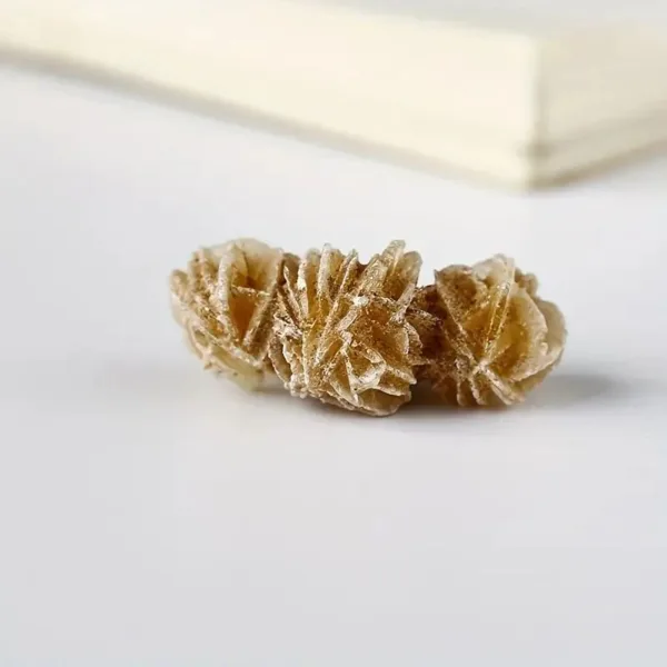 Three brown desert rose crystals.