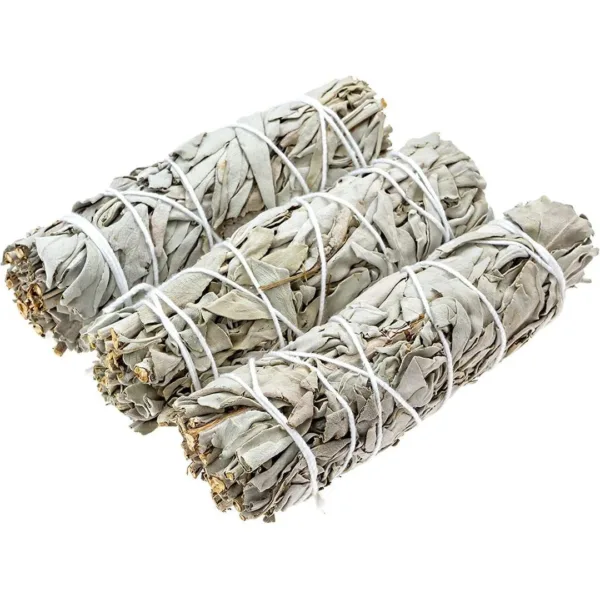 Three bundles of white sage smudge sticks.