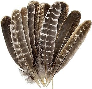 A bunch of brown and white feathers.