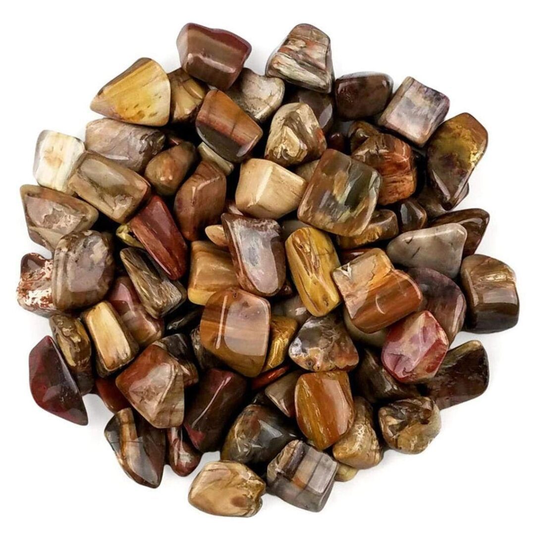 Pile of brown, red, and white petrified wood chips.