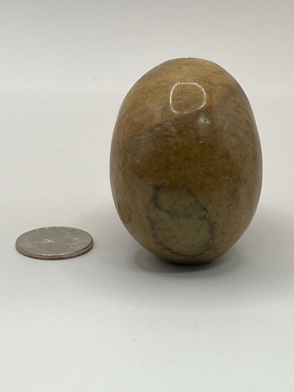 Beige stone egg next to a coin.