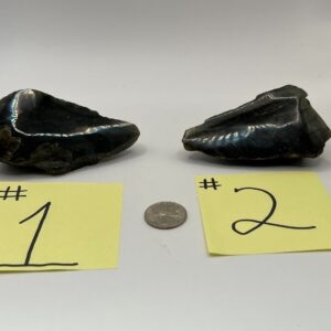 Two black obsidian rocks with iridescence.