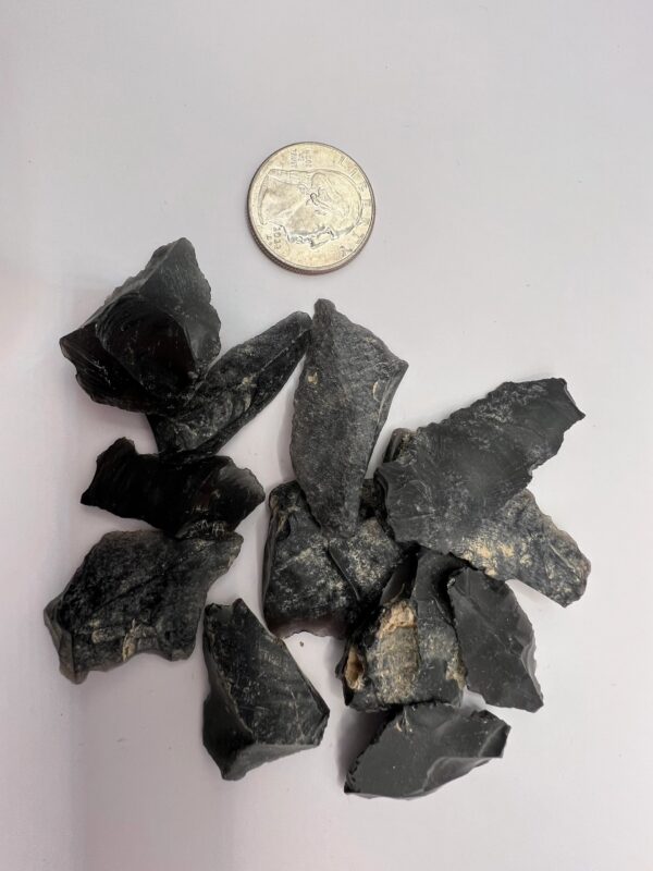 Black obsidian chips near a quarter.