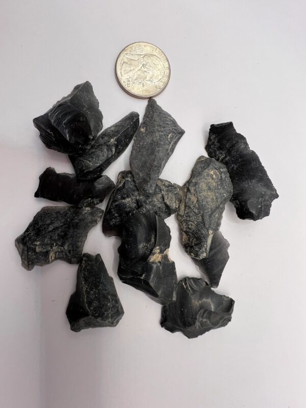 Black obsidian stone chips with coin for scale.