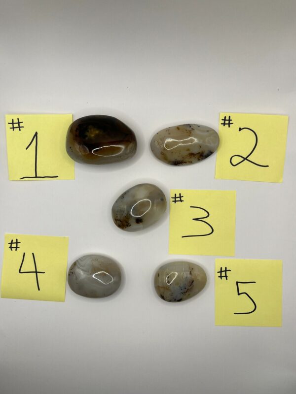 Five numbered agate stones on white background.