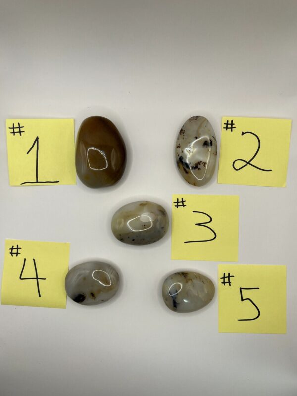 Five numbered agate stones on a white background.