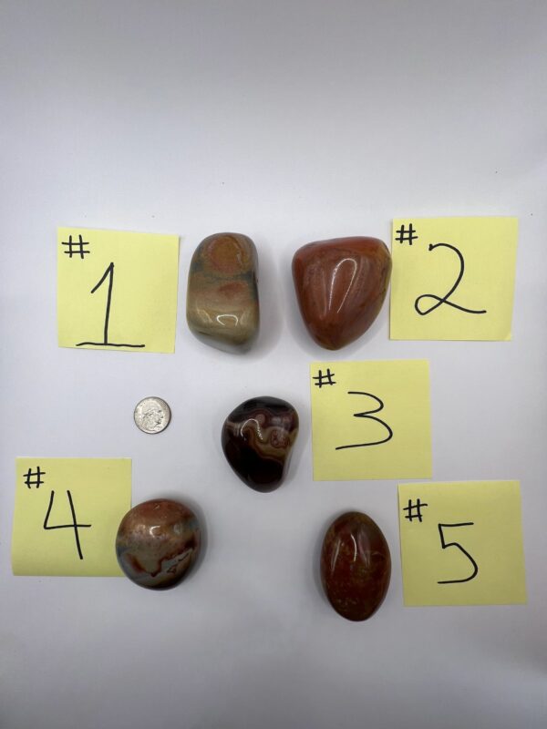 Five numbered agate stones on white background.