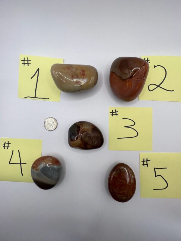 Five numbered agate stones on white background.