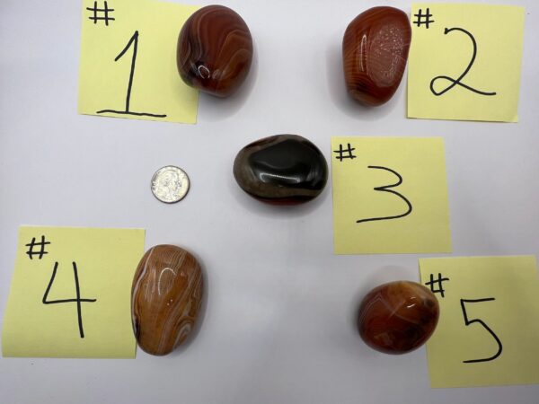 Five numbered agate stones on white background.