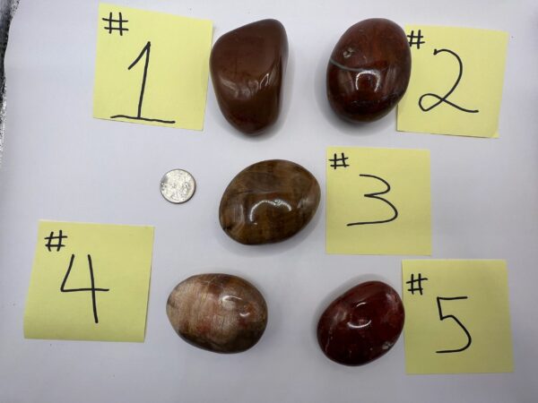 Five numbered polished stones on white background.