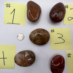 Five numbered polished stones on white background.