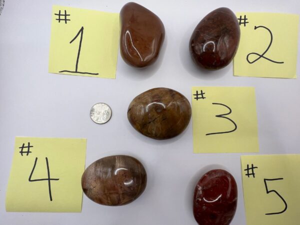 Five numbered polished stones on white background.