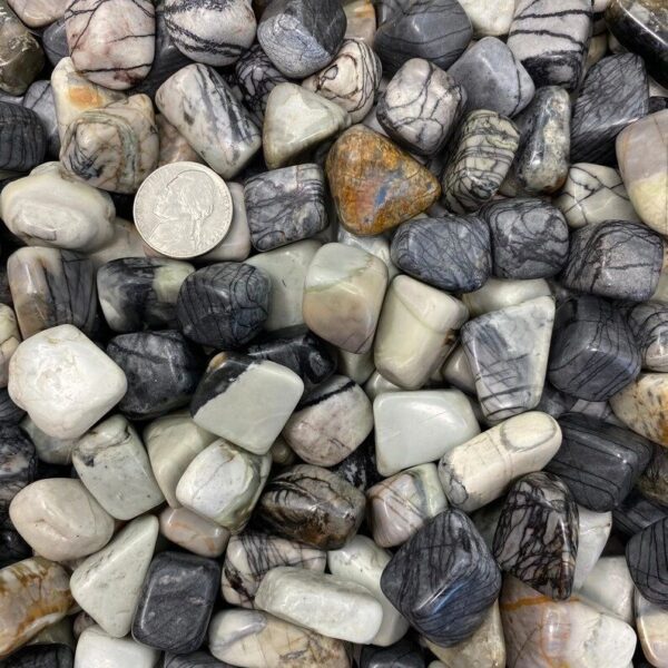 Black and white zebra jasper tumbled stones.