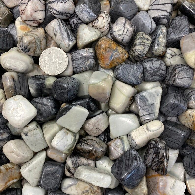 Black and white zebra jasper tumbled stones.