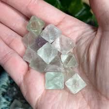 Hand holding small green fluorite crystals.