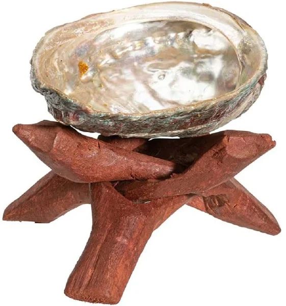 Abalone shell on wooden stand.