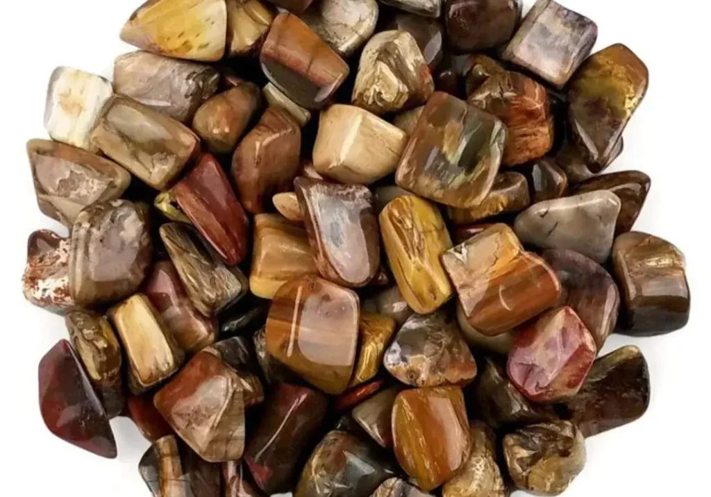 Pile of brown and red petrified wood stones.