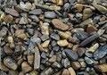 A pile of various sized brown rocks.